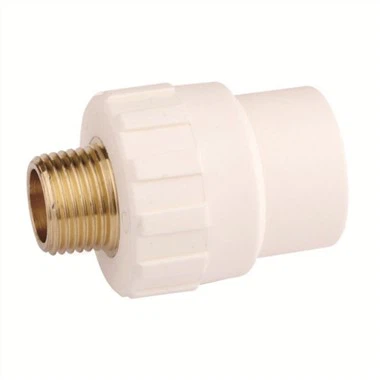 पीबी पुरुष युग्मन